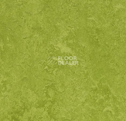 Линолеум Forbo Marmoleum Marbled Fresco 3247-324735 green фото 1 | FLOORDEALER